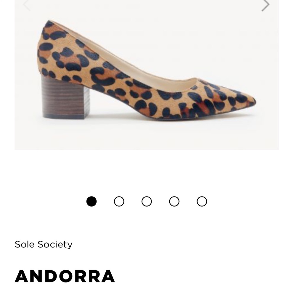 Sole Society Andorra Leopard Heels